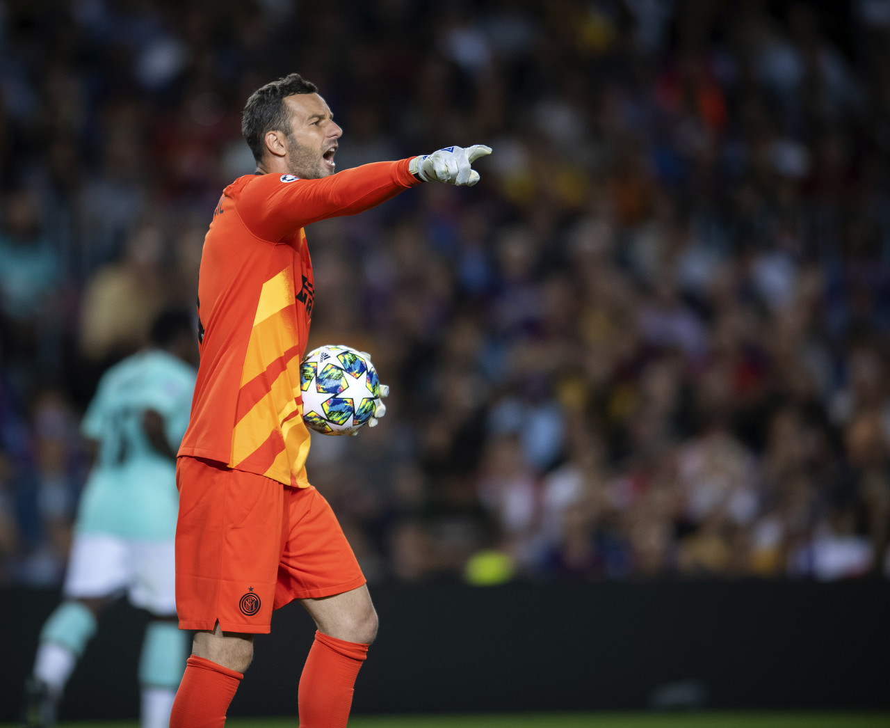 日处理60T动物油熬练生产线