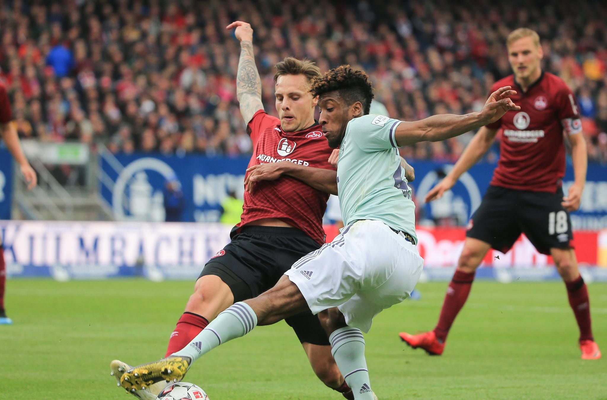 牡丹籽油设备 植物油脂成套设备